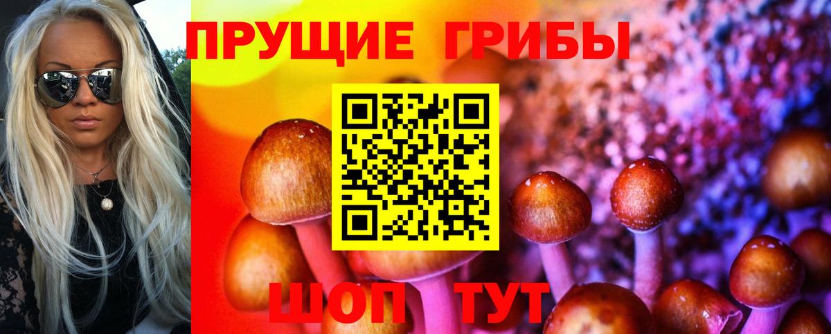 Псилоцибиновые грибы мухоморы Березники