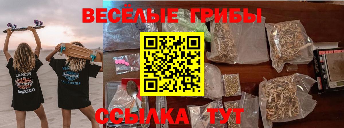 Березники  Галлюциногенные грибы Magic Shrooms  Вход с VPN 
